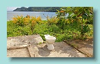 086_Pooping In Paradise